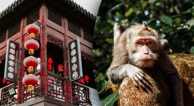 Китайський гороскоп на завтра, 11 квітня: Мавпам - розставання, Свиням - лідерство Китайський гороскоп на завтра, 11 квітня: Мавпам - розставання, Свиням - лідерство