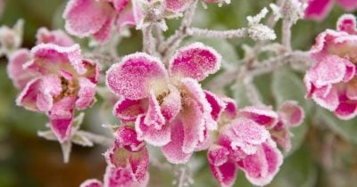 Погода на Житомирщині готує неприємний сюрприз на Великодні вихідні: чого очікувати