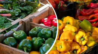Красный, желтый или зеленый - какой перец полезнее: врачи удивили ответом