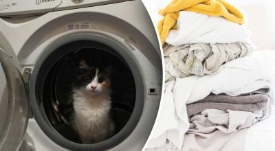 Прання за ціною золота:  6  помилок, які непомітно спустошують гаманець