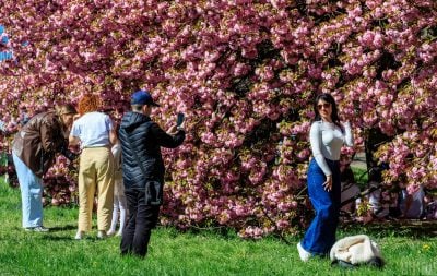 Буде +21: синоптики назвали дату потепління в Україні