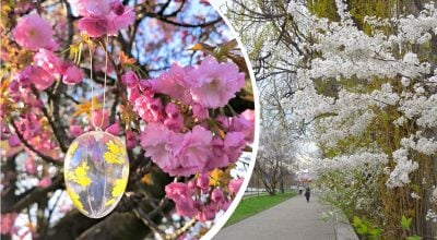 Пригріє до +18 °C: на Рівненщину йде довгоочікуване потепління, названа дата Пригріє до +18 °C: на Рівненщину йде довгоочікуване потепління, названа дата