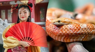 Китайський гороскоп на завтра, 15 квітня: Свиням — подарунки, Зміям — порада Китайський гороскоп на завтра, 15 квітня: Свиням — подарунки, Зміям — порада