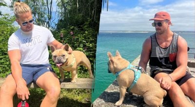 Бульдог заробляє більше за свого господаря: все почалося з одного відео