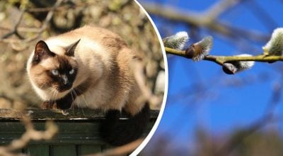 На Житомирщині різко підскочить температура: коли потепліє до +18