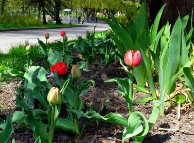 Погода на Рівненщині різко зміниться: коли чекати погіршення погоди в області