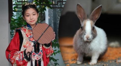 Китайський гороскоп на завтра, 16 квітня: Півням — відсіч, Кролям — розрахунок