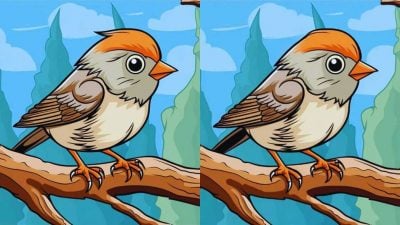 головоломка