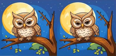 Тест на IQ: потрібно знайти 3 відмінності на зображенні сови на дереві за 9 с