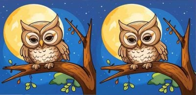 головоломка головоломка