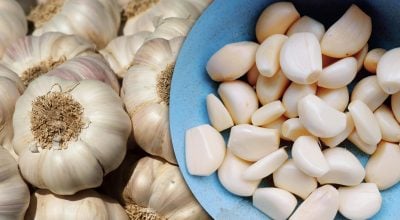 Часник зберігатиметься місяцями і не проросте – що потрібно зробити