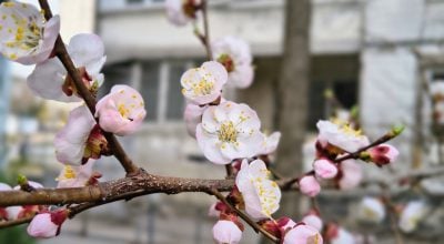 Квітень знову здивує: що підготувала погода для Дніпра цими віхідними