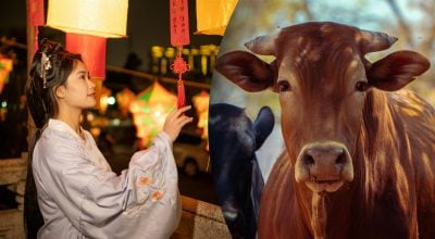 Китайский гороскоп на завтра