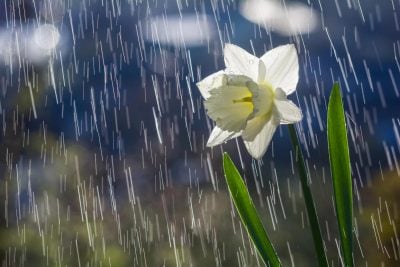 Циклон із Румунії несе шторм на Львівщину: коли очікується сильна негода