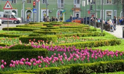 Ровенщину накроет новая волна похолодания: синоптики предупреждают о заморозках