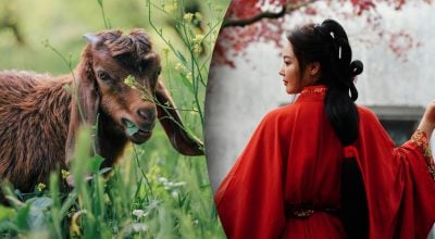 Китайський гороскоп на завтра, 21 квітня: Кролям — впертість, Козлам — примирення