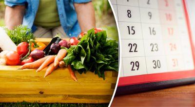 Овощи, Календарь