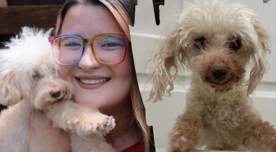 Женщина нашла в приюте "двойника" умершей своей собаки