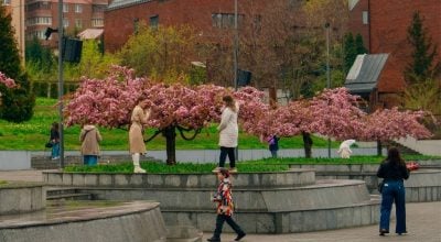 Весна ставить підніжку: Дніпропетровщину накриють заморозки, коли чекати "мінус"