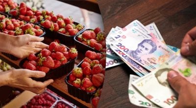 Ціни на полуницю готують сюрприз: до чого готуватися покупцям цього сезону