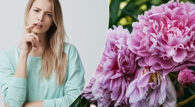 Ніякі не "піони": як правильно назвати ці розкішні квіти українською