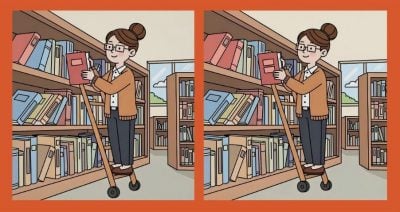 Тест на IQ: потрібно знайти 3 відмінності на зображенні з бібліотекарем за 43 с