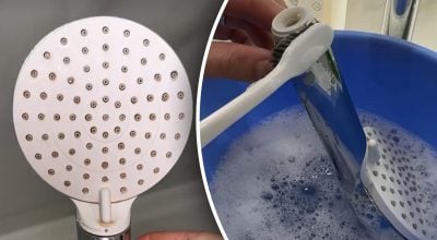 Бруд накопичується не там, де всі думають: як почистити лійку душу