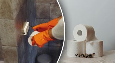 Чому в Радянському Союзі не користувалися туалетним папером