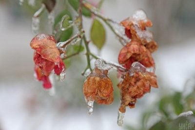Погода в Черкасах - синоптики попередили про удар стихії на Черкащині