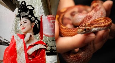 Китайський гороскоп на завтра, 25 квітня: Зміям — гнучкість, Щурам — сюрпризи