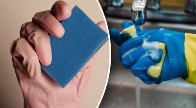 Секрет господинь: як зробити губку зручнішою і чистішою