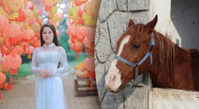 Китайський гороскоп на завтра, 26 квітня: Бикам — помилки, Коням — жертви