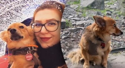 Собака вперше побувала в зоопарку: її реакція вразила господиню