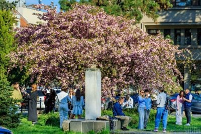 Чи прийде потепління в Україну наприкінці квітня: синоптик озвучила прогноз