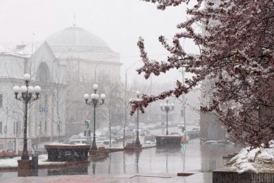 Випаде сніг та вдарять сильні заморозки: небезпечна погода суне на Тернопільщину