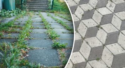 Дешево и эффективно: как легко избавиться от сорняков на дорожках