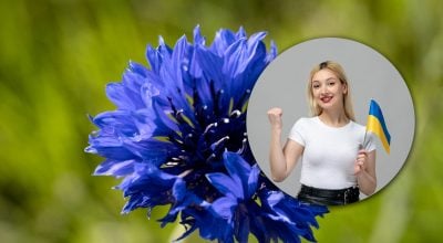 Аж ніяк не 'васильки': як правильно назвати ці сині польові квіти українською