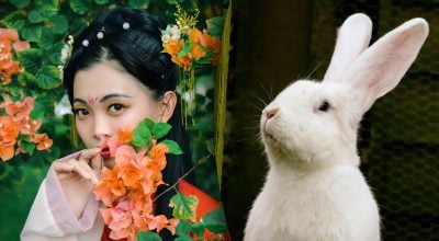 Китайський гороскоп на завтра, 29 квітня: Кролям — егоїзм, Свиням — прорив