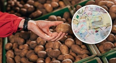 В Україні прогнозують дефіцит базового продукту: що буде з цінами