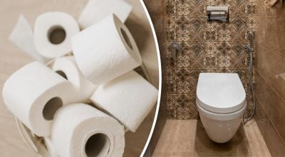 унітаз, туалетний папір 