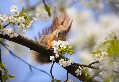 Антициклон изменит погоду в Украине: когда станет по-настоящему тепло и солнечно