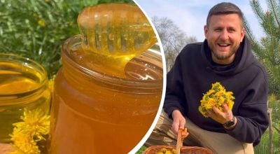 Полезное и вкусное, как мед: как приготовить варенье из одуванчиков - рецепт