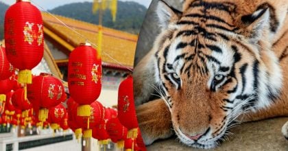 Китайський гороскоп на завтра, 2 квітня: Тиграм — криза, Півням — переговори