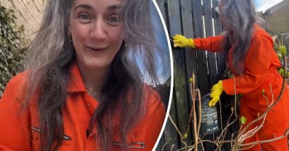 Геніально: жінка придумала, чим замінити пензель під час фарбування паркану