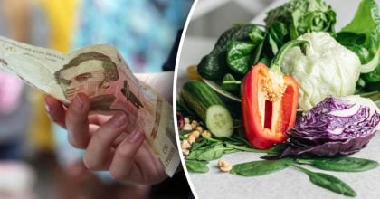 Ціни на 84% нижчі, ніж торік: в Україні стрімко дешевшає популярний овоч