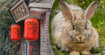 Китайский гороскоп на завтра, 3 апреля: Кроликам - бонусы, Собакам - бунтарство