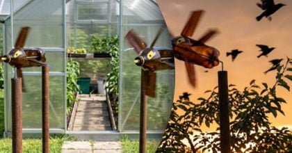 Один пристрій проти шпаків і кротів: просте рішення для вашої ділянки