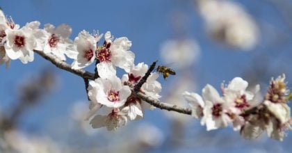 Температура підскочить до +20: на Львівщину йде потепління