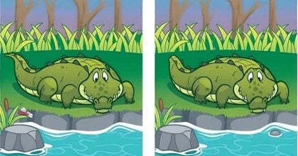 Тест на IQ: потрібно знайти 5 відмінностей на зображенні крокодила за 13 секунд