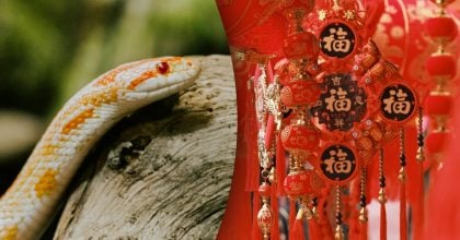 Китайський гороскоп на завтра, 6 квітня: Зміям — покупки, Козлам — знайомства